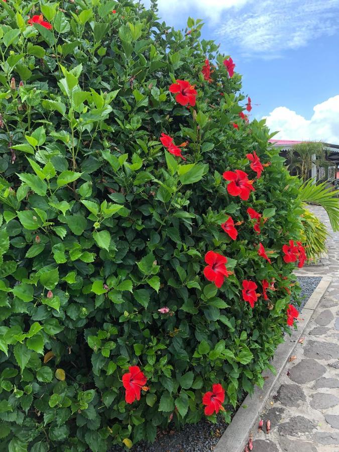 Lovely Apartment In Flic En Flac, Close To The Beach And All Amenities. Esterno foto